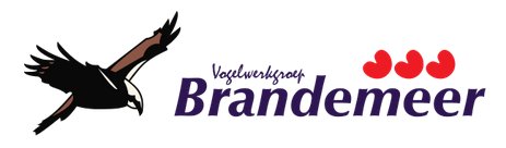 vv